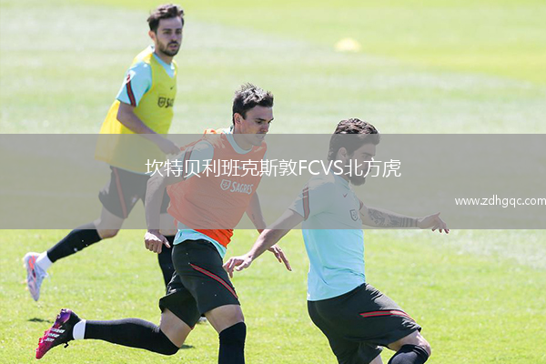 坎特貝利班克斯敦FCVS北方虎