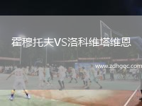 霍穆托夫VS洛科維塔維恩