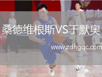 桑德維根斯VS于默奧