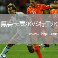 黑森卡塞爾VS特里爾