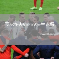 瓦爾多夫VSFSV法蘭克福