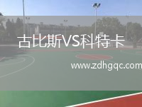 古比斯VS科特卡