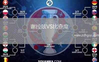 謝拉玆VS比查度
