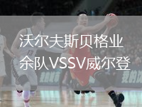 沃爾夫斯貝格業(yè)余隊VSSV威爾登