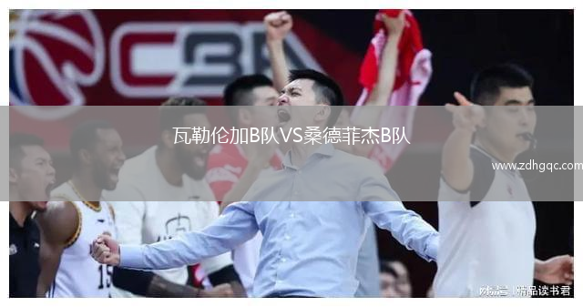 瓦勒倫加B隊(duì)VS桑德菲杰B隊(duì)