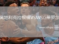 奧地利克拉根福VSWSG蒂羅爾