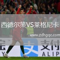 西德爾策VS萊格尼卡