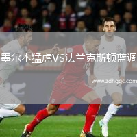 墨爾本猛虎VS法蘭克斯頓藍調