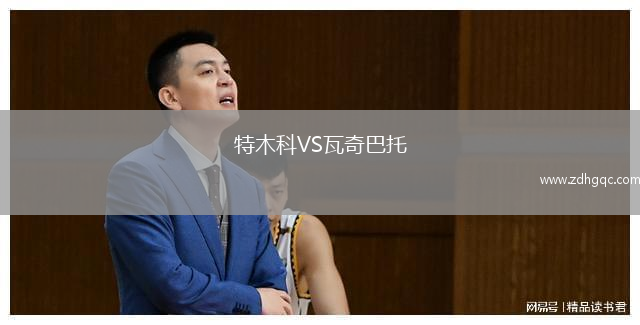 特木科VS瓦奇巴托