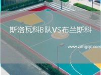 斯洛瓦科B隊(duì)VS布蘭斯科