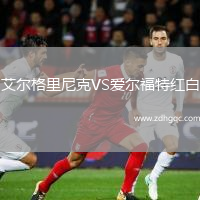 艾爾格里尼克VS愛(ài)爾福特紅白