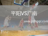 平陽(yáng)VS廣南