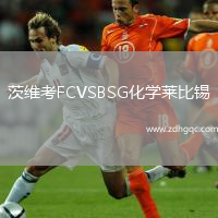 茨維考FCVSBSG化學(xué)萊比錫