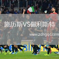 施歷斯VS佩利斯特