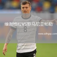 維謝格拉VS羅馬尼亞帕勒