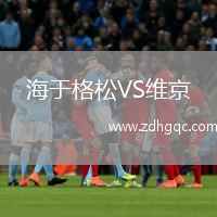 海于格松VS維京
