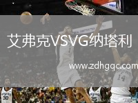 艾弗克VSVG納塔利
