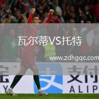 瓦爾蒂VS托特