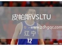 皮帕斯VSLTU