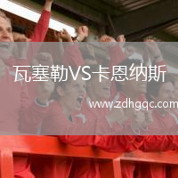 瓦塞勒VS卡恩納斯