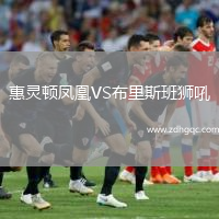 惠靈頓鳳凰VS布里斯班獅吼