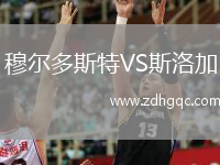 穆爾多斯特VS斯洛加