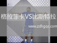 格拉菲卡VS比斯特拉