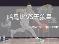 哈馬比VS天狼星