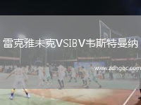 雷克雅未克VSIBV韋斯特曼納
