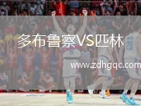 多布魯察VS匹林