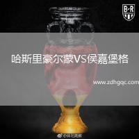 哈斯里豪爾蒙VS侯嘉堡格