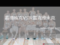 嘉德維克VSIR雷克雅未克