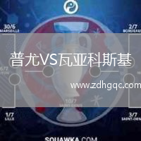 普尤VS瓦亞科斯基