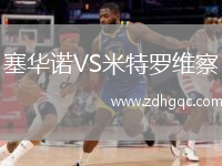 塞華諾VS米特羅維察