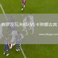 弗羅茨瓦夫B隊VS卡琳娜古賓