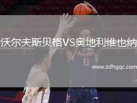 沃爾夫斯貝格VS奧地利維也納