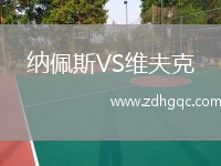 納佩斯VS維夫克