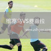 維塞烏VS費(fèi)雷拉