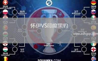 懷伊VS印度黑豹
