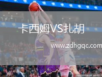 卡西姆VS扎胡
