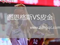 圖恩格斯VS皮金