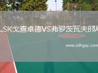 LSK戈查卓德VS弗羅茨瓦夫B隊