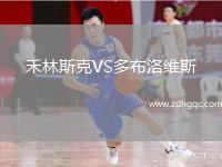 禾林斯克VS多布洛維斯