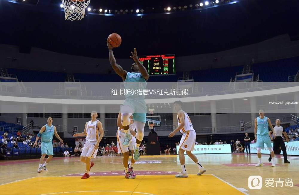 紐卡斯?fàn)柅C鷹VS班克斯頓熊