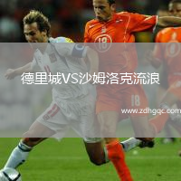 德里城VS沙姆洛克流浪