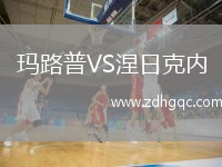 瑪路普VS涅日克內(nèi)