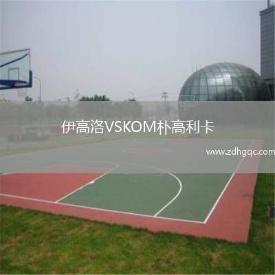 伊高洛VSKOM樸高利卡