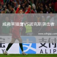 威弗萊獵鷹VS諾克斯襲擊者