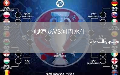 峴港龍VS河內(nèi)水牛