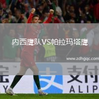 內(nèi)西鷹隊VS帕拉瑪塔鷹
